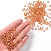 (Repacking Service Available) Round Glass Seed Beads SEED-C016-4mm-169-4