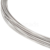 Titanium Steel Wire TWIR-WH0002-20B-1