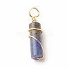 Natural Sodalite Pendants PALLOY-JF01453-03-2