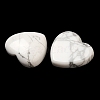 Natural Howlite Cabochons G-F776-02A-24-2