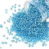 TOHO 8/0 Round Beads SEED-TR08-0023-1