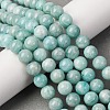 Natural Amazonite Beads Strands G-K068-03-8mmA-1