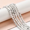 Natural Howlite Beads Strands G-E608-A01-C-5