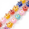 Handmade Lampwork Beads Strands LAMP-F029-03-2