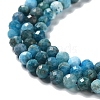 Natural Apatite Beads Strands G-J400-E01-03-4