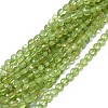 Natural Peridot Beads Strands G-I249-A13-1