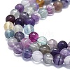 Natural Fluorite Beads Strands G-K245-A10-02-3