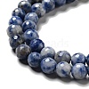 Natural Blue Spot Jasper Beads Strands G-P476-01B-02-4