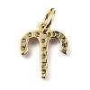 Brass Micro Pave Cubic Zirconia Charms ZIRC-F131-16G-10-2