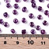 6/0 Glass Seed Beads X-SEED-A016-4mm-213-3