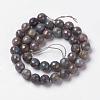 Natural Labradorite Beads Strands G-J376-49-6mm-3