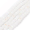 Electroplate Glass Beads Strands EGLA-A044-J6mm-L05-1