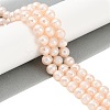 Electroplated Shell Pearl Beads Strands BSHE-C007-A02-01-2