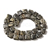 Natural Map Stone Beads Strands G-L596-A03-01-3