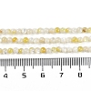 Natural Shell Pearl Beads Strands BSHE-H109-12A-5