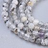 Natural Rainbow Moonstone Beads Strands X-G-R475-025B-3