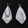 Natural Howlite Charms G-Q998-029C-3