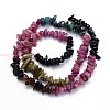 Natural Tourmaline Chips Beads Strands G-O049-09-2