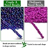 FGB 8/0 Grade A Round Glass Seed Beads SEED-Q010-3mm-F545-4