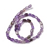 Natural Amethyst Beads Strands G-H087-D04-01-3