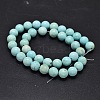 Natural Howlite Beads Strands TURQ-P027-17-4mm-2