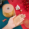 Transparent Single Face Chiffon Ribbon for Christmas OCOR-WH0071-008B-3