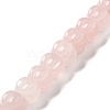 Natural Rose Quartz Beads Strands G-K335-02I-2