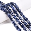 Natural Blue Spot Jasper Beads Strands G-T138-101-1