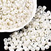 Baking Paint Pearlized Glass Seed Beads SEED-T008-03A-1