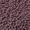 MIYUKI Round Rocailles Beads X-SEED-G009-RR2034-3