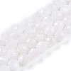 Natural Rainbow Moonstone Beads Strands G-S345-8mm-36-1