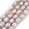 Natural Cultured Freshwater Pearl Beads Strands PEAR-P062-01C-1