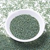 MIYUKI Delica Beads SEED-J020-DB1282-2
