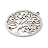 Non-Tarnish 201 Stainless Steel Pendants STAS-B049-09P-2