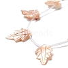 Autumn Theme Natural Sea Shell Beads Strands SSHEL-G023-14-3