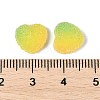 Imitation Candy Food Style Resin Cabochons RESI-R461-01C-3