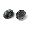 Natural Larvikite Cabochons G-A094-01B-07-2