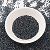 MIYUKI Delica Beads SEED-X0054-DB0005-2