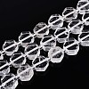 Natural Quartz Crystal Beads Strands G-P534-A23-01-4