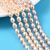 Natural Cultured Freshwater Pearl Beads Strands PEAR-I007-01C-01B-1