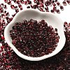 Transparent Baking Paint Glass Seed Beads SEED-P006-02B-05-2