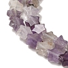 Natural Amethyst Beads Strands G-G085-B01-02-3