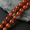 Oval Natural Carnelian Beads Strands G-D622-06-A-1