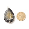 Natural Crackle Agate Pendants PALLOY-JF01526-01-2