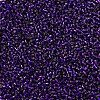 MIYUKI Delica Beads SEED-X0054-DB0609-3