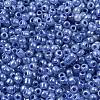 8/0 Ceylon Round Glass Seed Beads X-SEED-A011-3mm-146-2