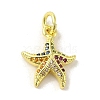 Brass Micro Pave Cubic Zirconia Charms KK-M283-22C-02-1