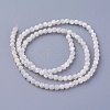 Shell Beads Strands SSHEL-E571-38-3mm-2