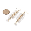 Glass Teardrop Cluster Dangle Earrings EJEW-JE05215-6