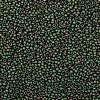 TOHO Round Seed Beads X-SEED-TR11-0707-2